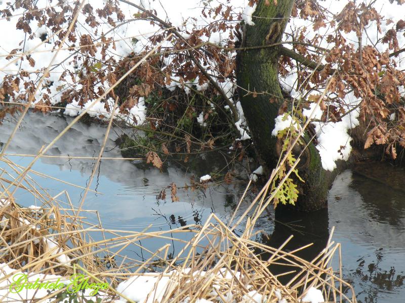 Omaggio all''Inverno che se ne va...